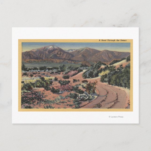 CaliforniaScenia Desert View Vykort (Framsida)