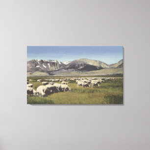 CaliforniaSheep som betar i kickSierran Canvastryck
