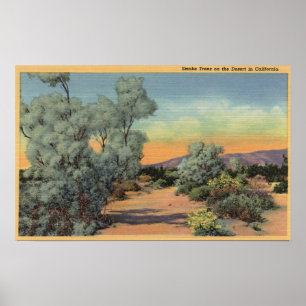 CaliforniaView av röker träd i öken Poster