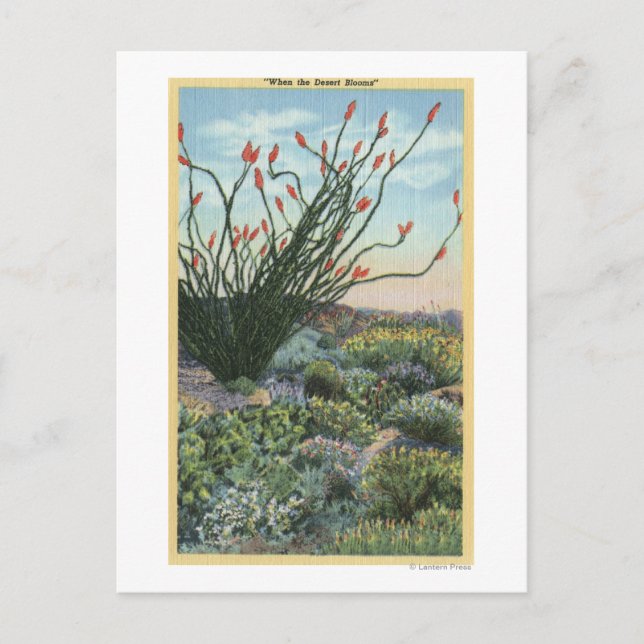 CaliforniaView of Cacti in Bloom Vykort (Framsida)