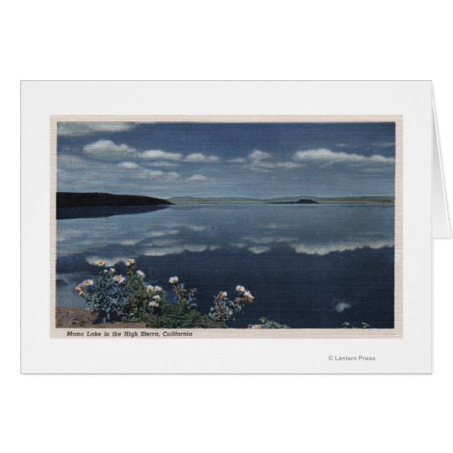 CaliforniaView of Mono Sjö in the High Sierra Hälsningskort (Framsidan Horizontal)