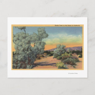 CaliforniaView of Smoke Träd in Desert Vykort