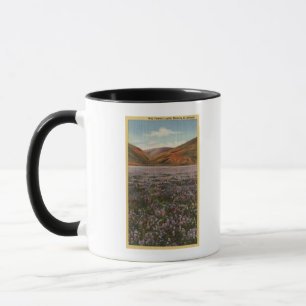 CaliforniaWild Lupine blommar i blom Mugg