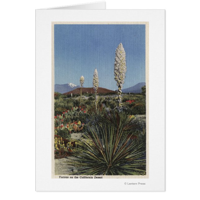 CaliforniaYucca Cacti in Bloom in Desert Hälsningskort (Framsidan)