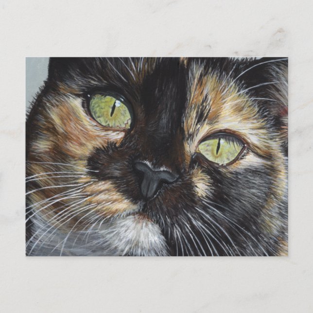 Cali's Stare Tortie Tortoiseshell Cat Painting Art Vykort (Framsida)