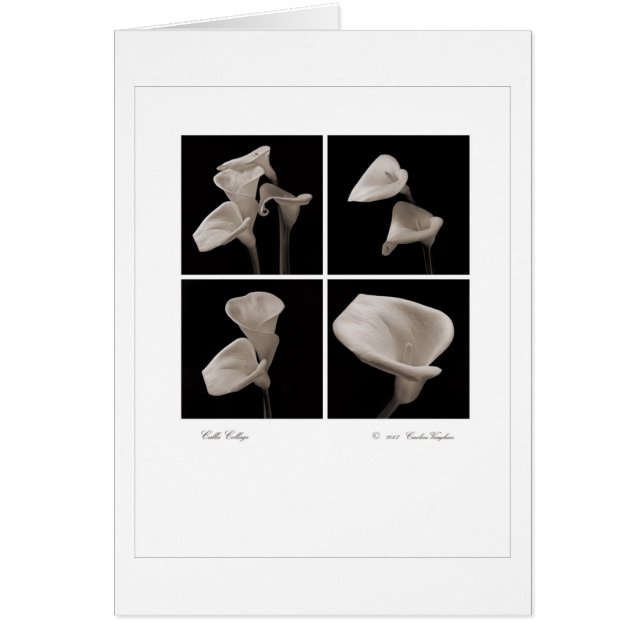 Calla_collage_2007_Brochure OBS Kort (Framsidan)