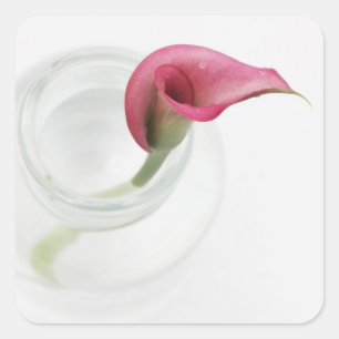 Calla Fyrkantigt Klistermärke