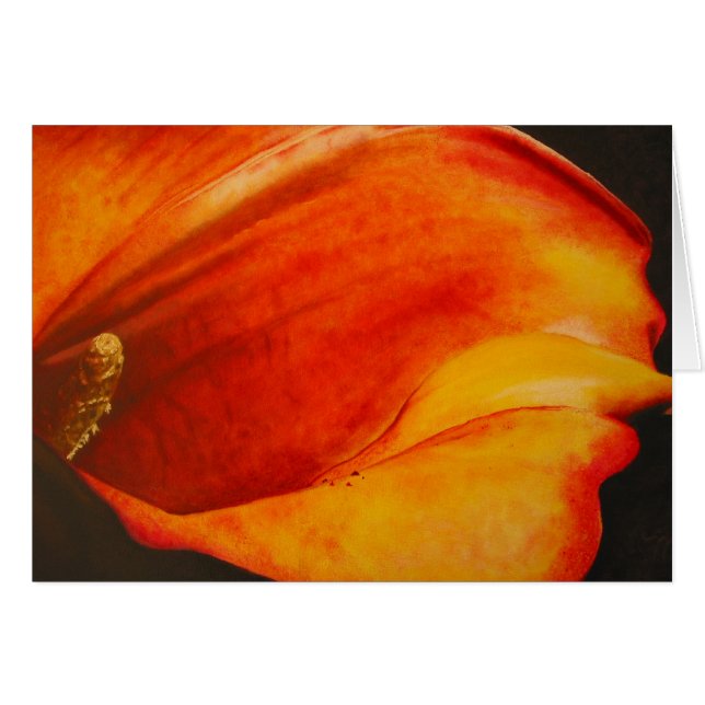 Calla Hälsningskort (Framsidan Horizontal)