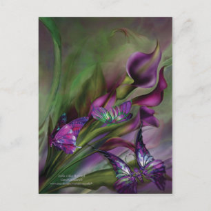 Calla Lilies Art Postcard Vykort