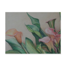 Calla Lilies art Postcard