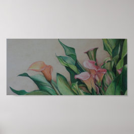 Calla Lilies Art Print Poster
