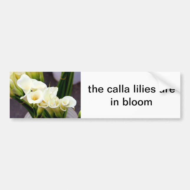 Calla lilies humant-dekal bildekal (Framsidan)