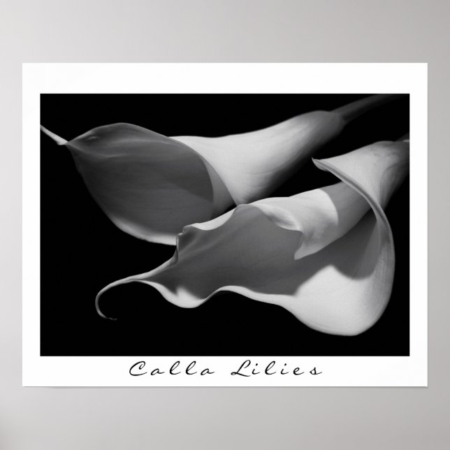 Calla Lilies i B&W Poster (Framsidan)