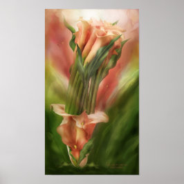 Calla Lilies in Calla Vas Art Poster/Skriv ut Poster