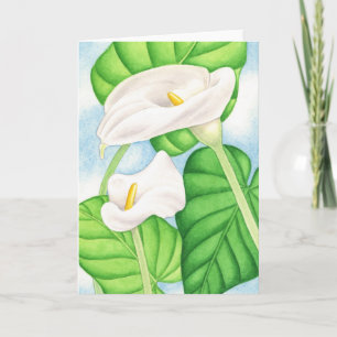 Calla Lilies Kort