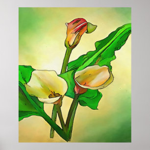 Calla Lilies mot en Grönt Ombre Poster