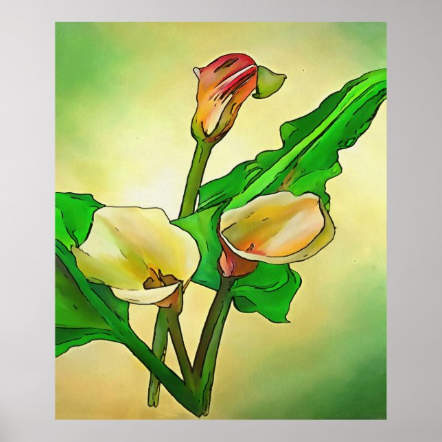 Calla Lilies mot en Grönt Ombre Poster (Framsidan)