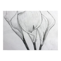 Calla Lilies Pencil Sketch Teckning Art Skriv ut