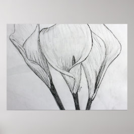 Calla Lilies Pencil Sketch Teckning Art Skriv ut Poster