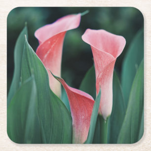 Calla Lilies Rosa Flowers Underlägg Papper Kvadrat