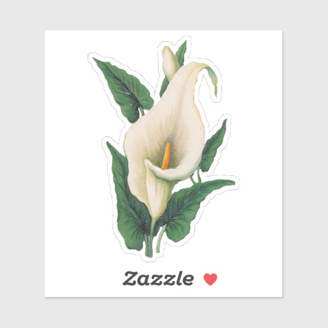 Calla Lilies Sticker Klistermärken (Ark)