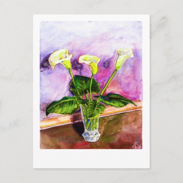 Calla Lilies Vykort (Framsida)