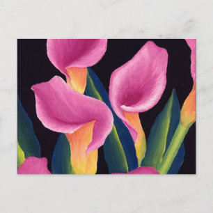 Calla lilies vykort
