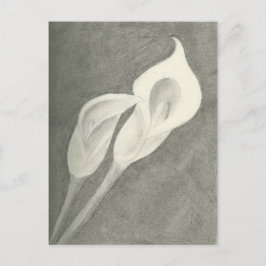 Calla Lilies Vykort