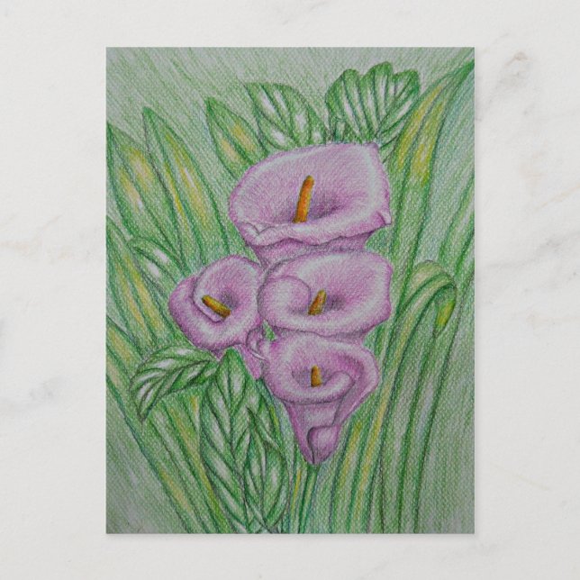 Calla lilies vykort (Framsida)