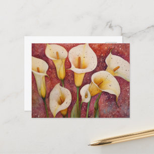 Calla Lillies Vykort