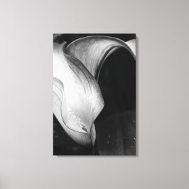Calla Lilly Canvastryck