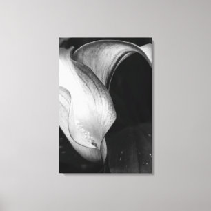 Calla Lilly Canvastryck