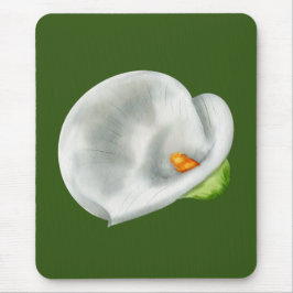 Calla Lilly Musmatta