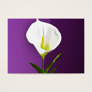 Calla Lilly Visitkort