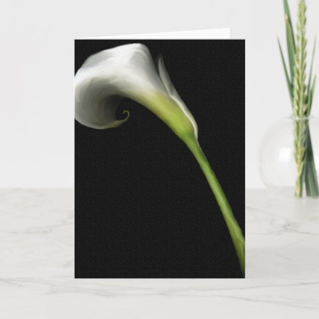 Calla Lilly Vykort (Framsida)