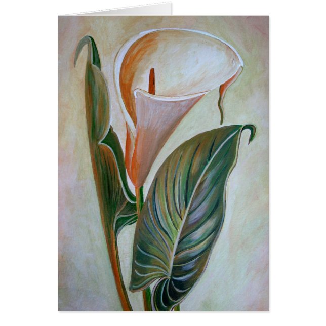Calla Lily Beresh Botanical Art Hälsningskort (Framsidan)