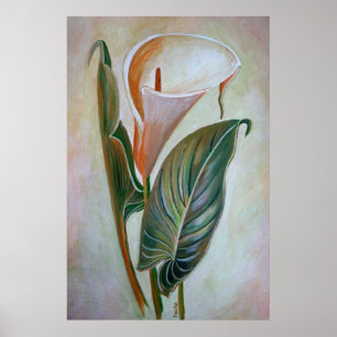 Calla Lily Beresh Botanical Art Poster