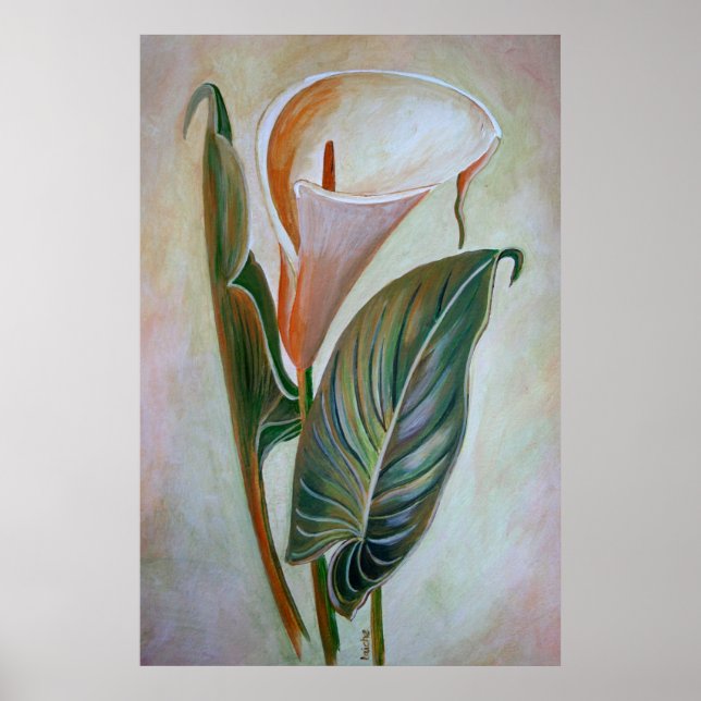 Calla Lily Beresh Botanical Art Poster (Framsidan)