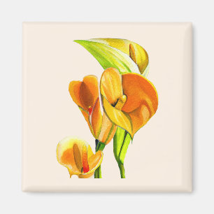Calla lily blommar vattencolor blommigt magnet