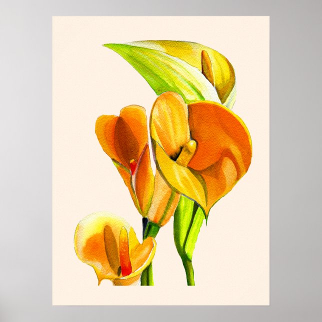 Calla lily blommar vattencolor blommigt poster (Framsidan)