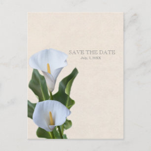 Calla Lily Blommor Blommig Elegant SPARA DATUM Meddelande Vykort
