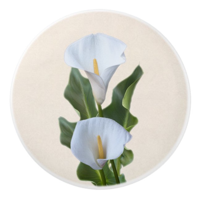 Calla Lily Blommor Blommig Trädgård & Löv Knopp (Framsidan)