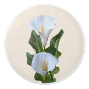 Calla Lily Blommor Blomsterträdgård & blad Knopp