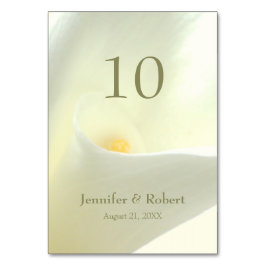 Calla Lily Bordsnummer