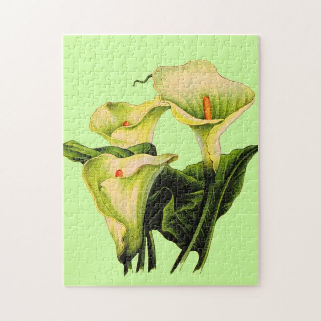 calla lily calla lilies pussel (Vertikal)