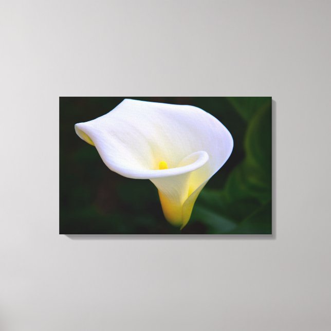 Calla Lily Canvastryck (Framsida)