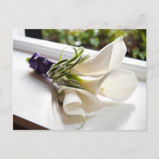 Calla Lily Card Vykort