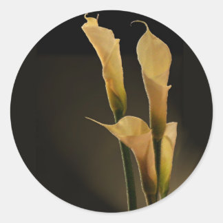 Calla Lily-dekalett Runt Klistermärke