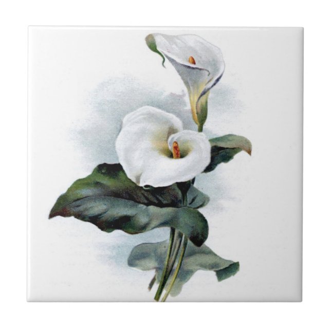 Calla Lily Design Kakelplatta (Framsidan)