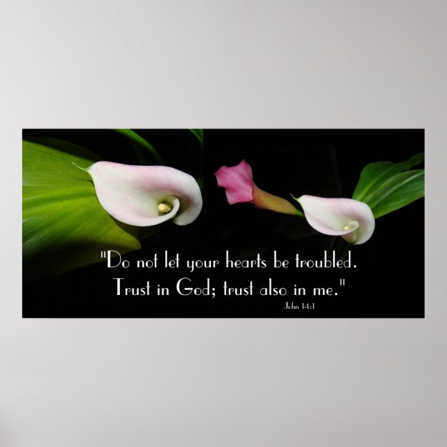 Calla Lily Flowers Trust God Scripture Skriv ut Poster (Framsidan)